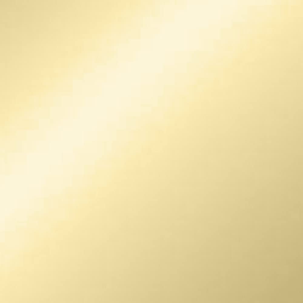 Design House Millbridge Toilet Paper Holder in Polished Brass - Image 7